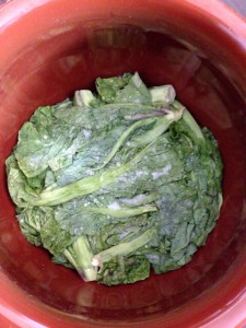 2014.3.22-katsuonazuke