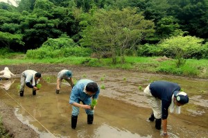 「手光えこびれっじ」で田植え