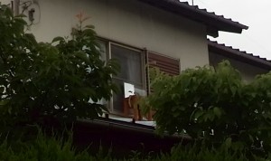 2015-06-08 16.06.48_2