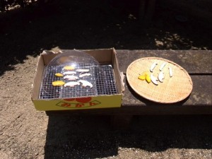 2015-07-24 12.12.37 (Small)