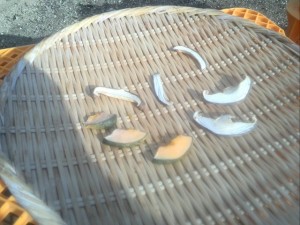 2015-07-24 17.14.11 (Small)