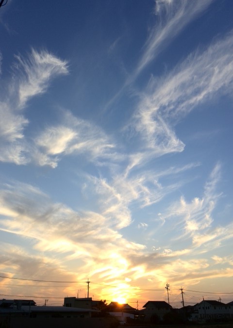 2015-10-19 17.28.20 (Small)