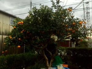 2016-03-09 16.55.13 (Mobile)