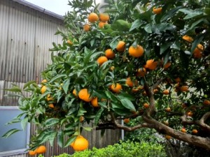 2016-03-09 16.55.31 (Mobile)