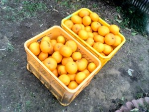 2016-03-10 14.52.03 (Mobile)