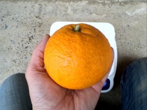 2016-03-10 15.04.05 (Mobile)